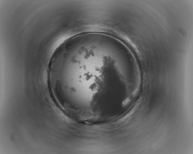 X0000112891463200908211443