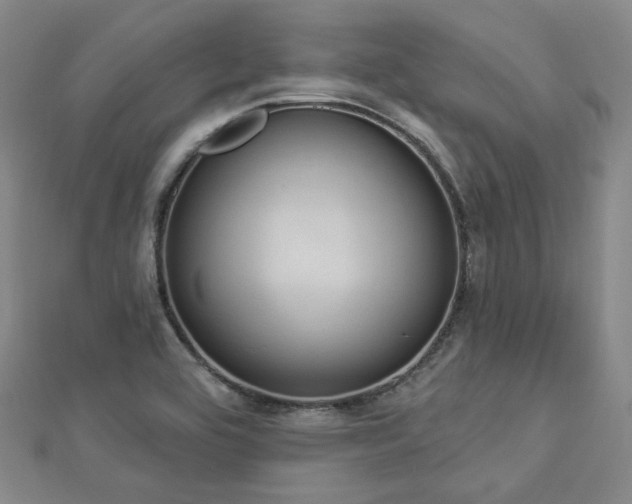 X0000112891464200908211443