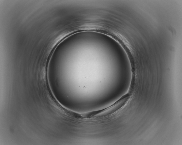 X0000112891465200908211443