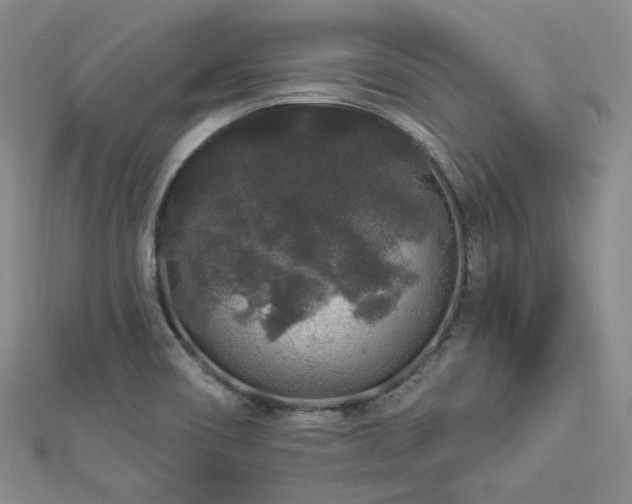 X0000112891466200908211443