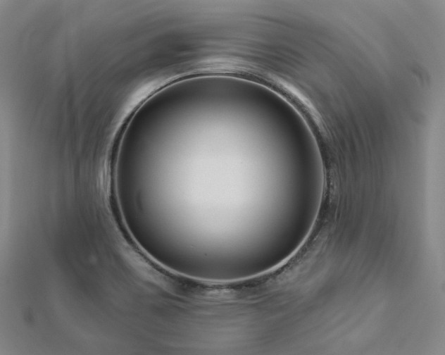 X0000112891467200908211443