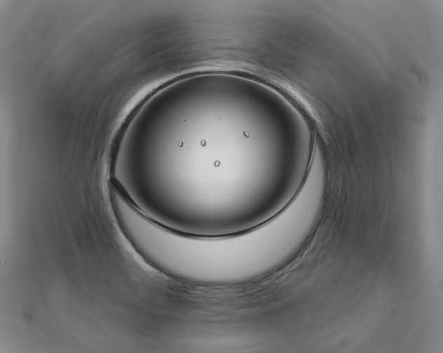 X0000112891468200908211443