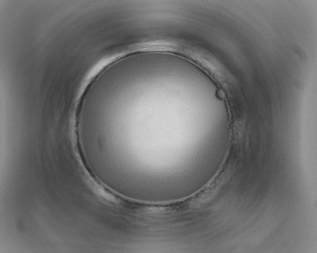 X0000112891470200908211443