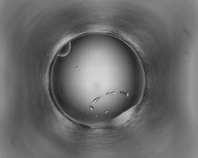 X0000112891471200908211443