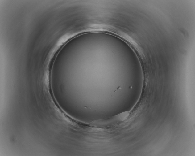 X0000112891472200908211443