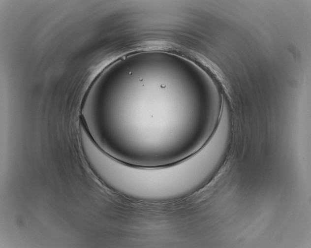 X0000112891473200908211443