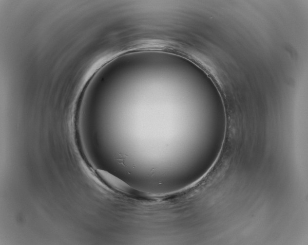 X0000112891475200908211443