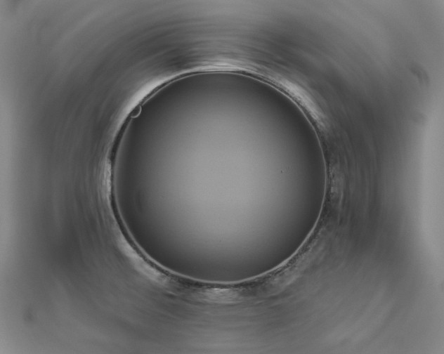 X0000112891476200908211443