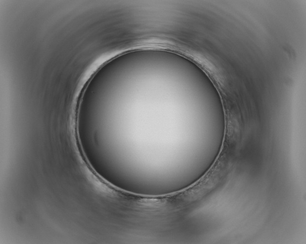 X0000112891478200908211443