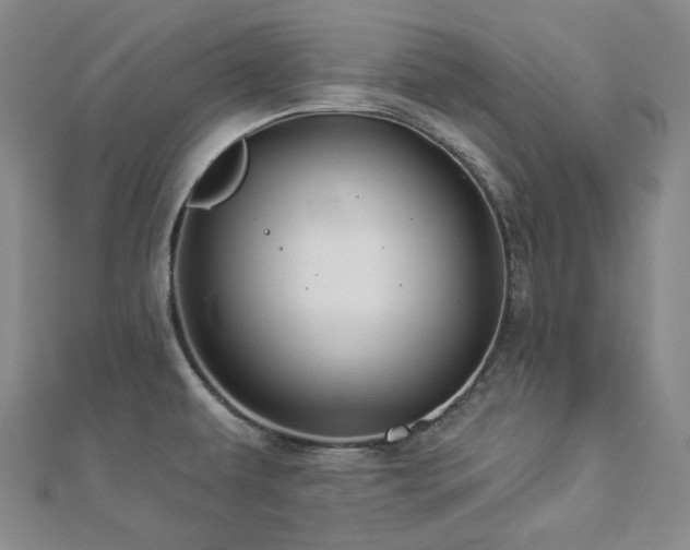 X0000112891479200908211443