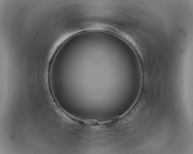 X0000112891480200908211443