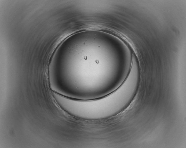 X0000112891481200908211443