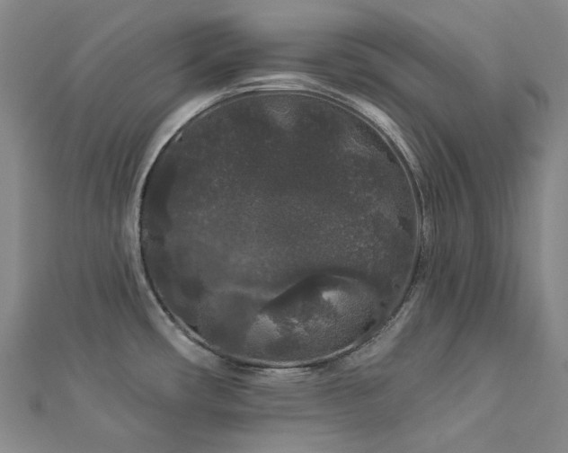 X0000112891482200908211443