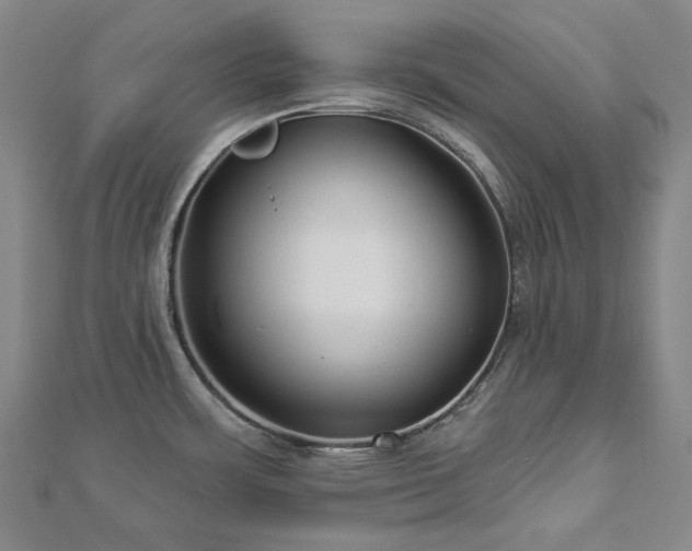 X0000112891483200908211443