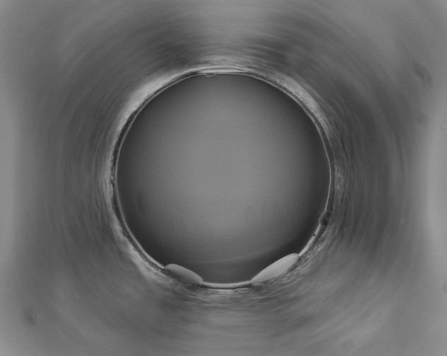 X0000112891485200908211443