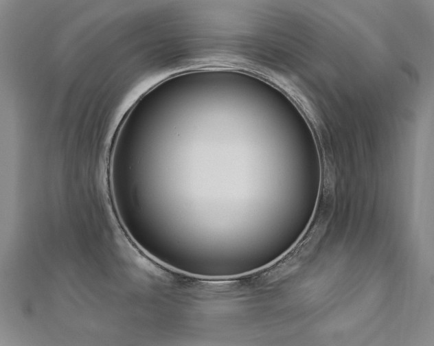 X0000112891486200908211443