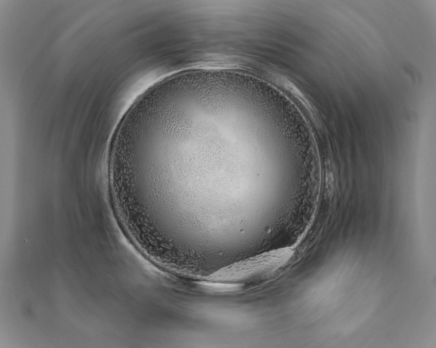 X0000112891487200908211443