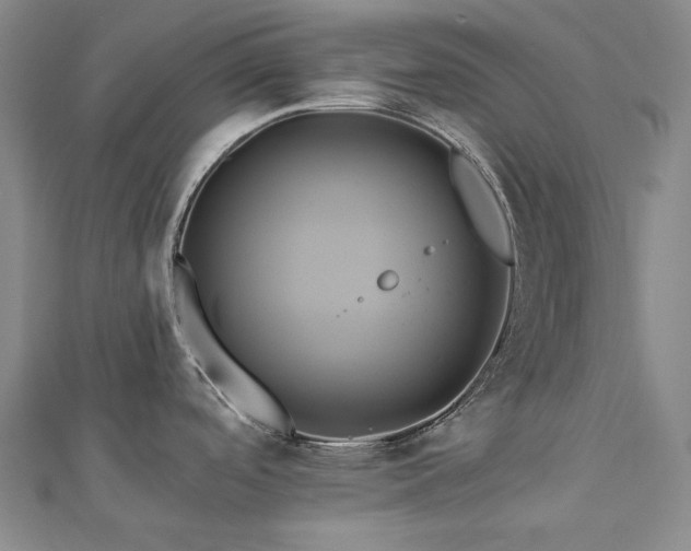 X0000112891488200908211443