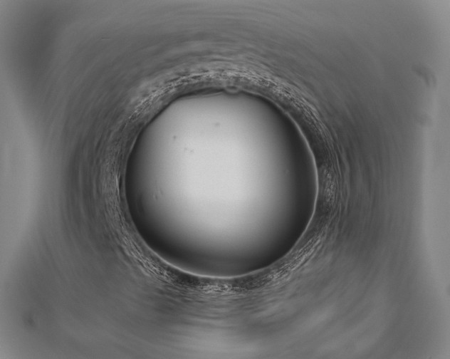 X0000112891489200908211442