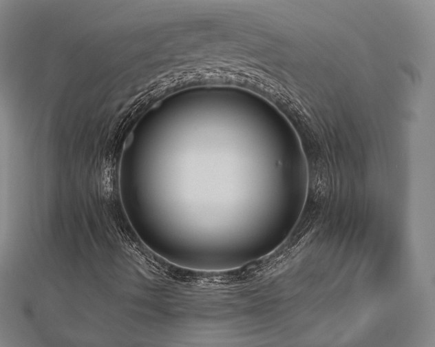 X0000112891490200908211442