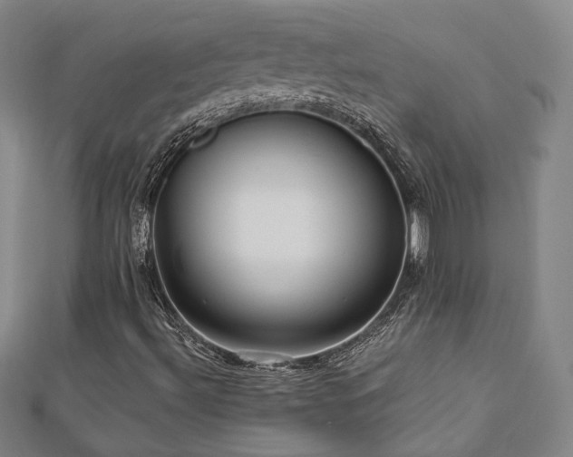 X0000112891492200908211442