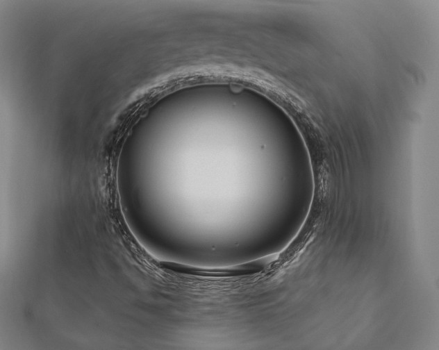 X0000112891494200908211442