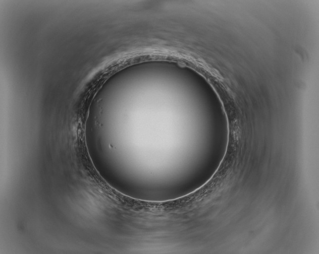 X0000112891495200908211442