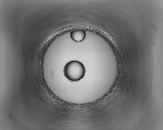 X0000112891496200908211442