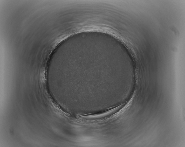 X0000112891497200908211442