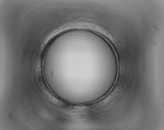 X0000112891498200908211442