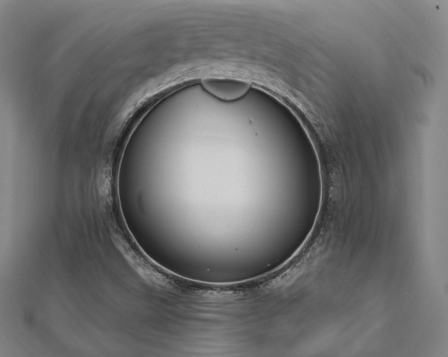 X0000112891499200908211442