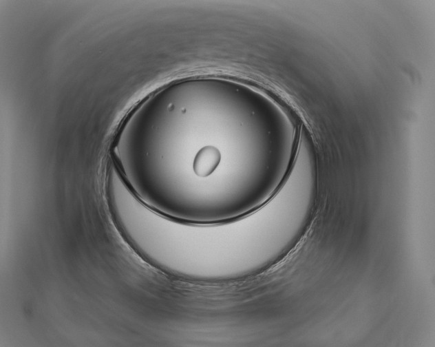 X0000112891500200908211442