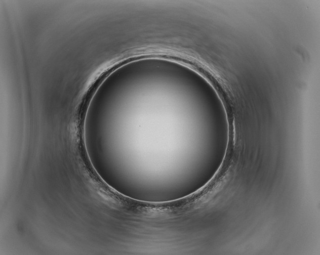 X0000112891501200908211442