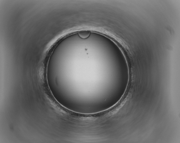 X0000112891502200908211442