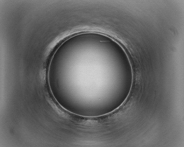 X0000112891503200908211442