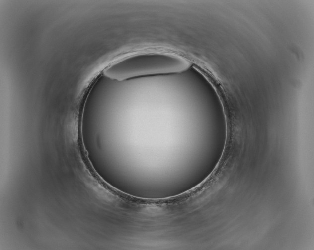 X0000112891504200908211442