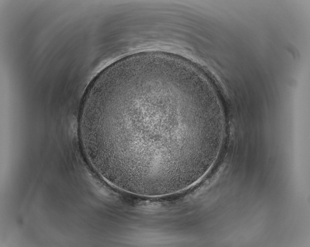 X0000112891505200908211442