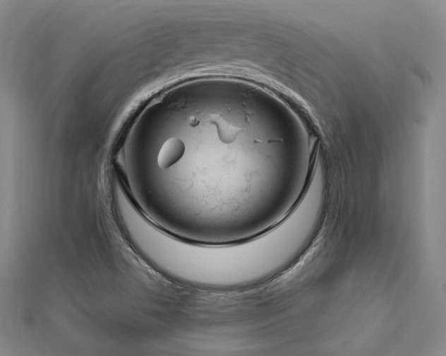 X0000112891506200908211442