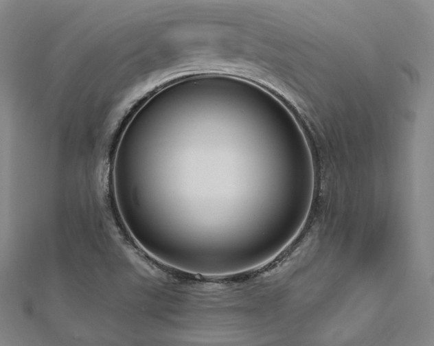 X0000112891507200908211442