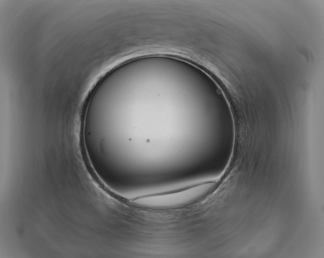 X0000112891508200908211442