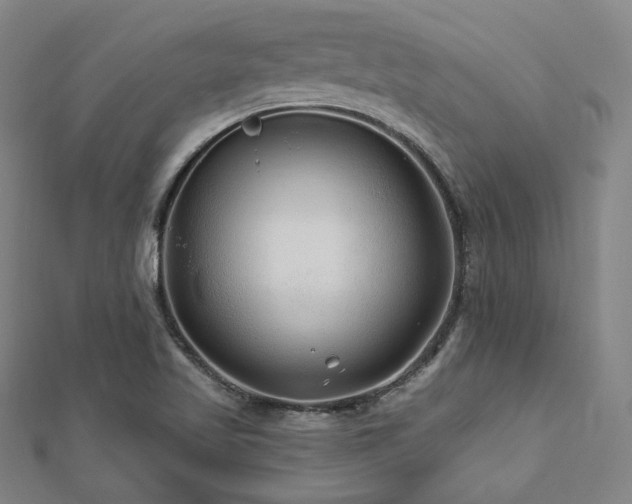 X0000112891509200908211442