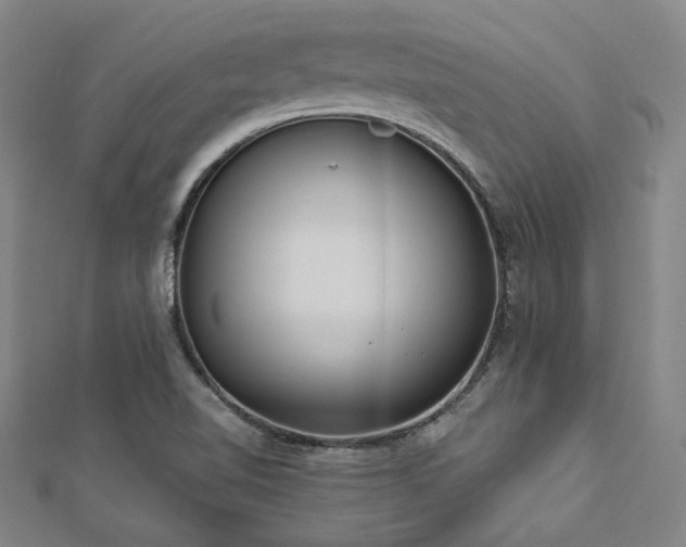 X0000112891510200908211442