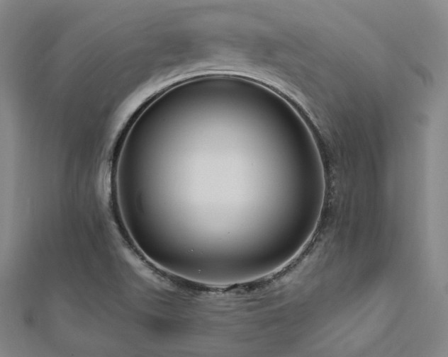 X0000112891511200908211442