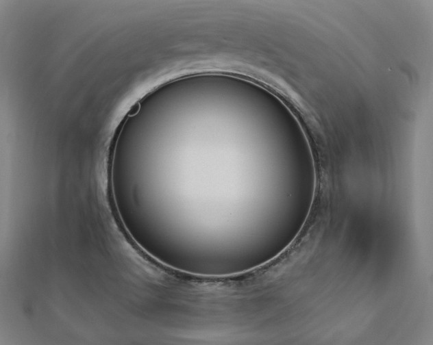 X0000112891512200908211442