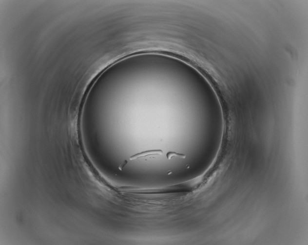 X0000112891513200908211442