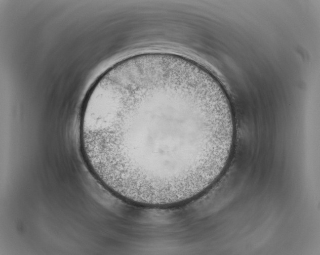 X0000112891514200908211442