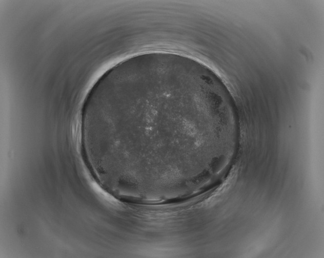 X0000112891515200908211442