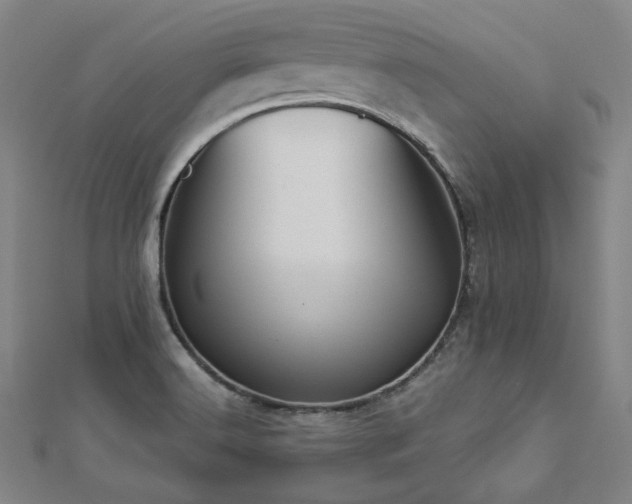 X0000112891516200908211442