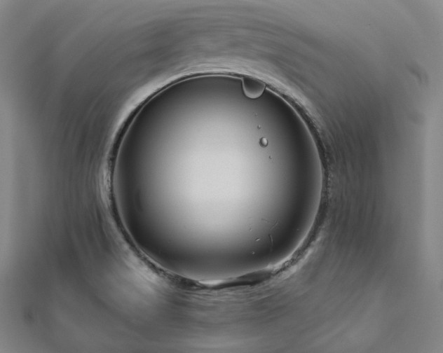 X0000112891517200908211442