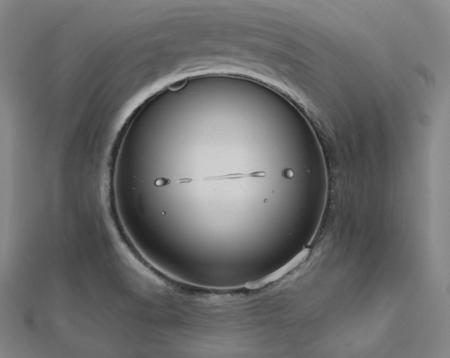 X0000112891518200908211442